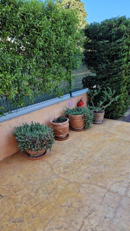 Apartma Juricich Portoroz Ngoại thất bức ảnh
